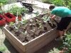 fruits-of-labour fruits-of-labour