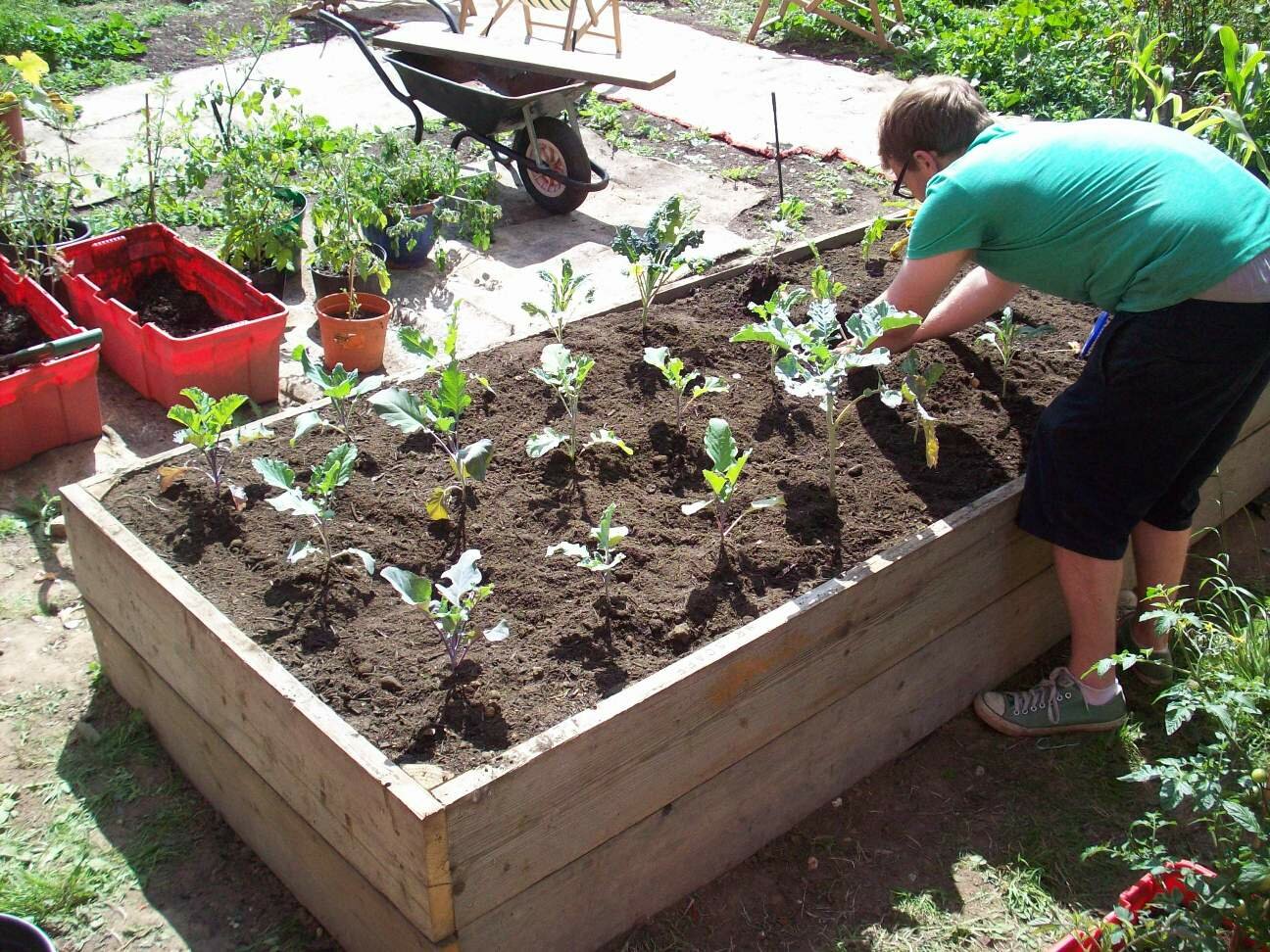 Permaculture Course