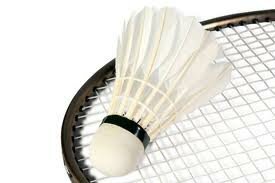 Badminton?