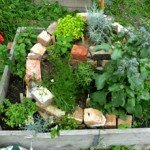 herb spiral progress_small herb spiral progress_small