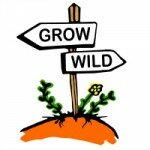 Grow wild 200